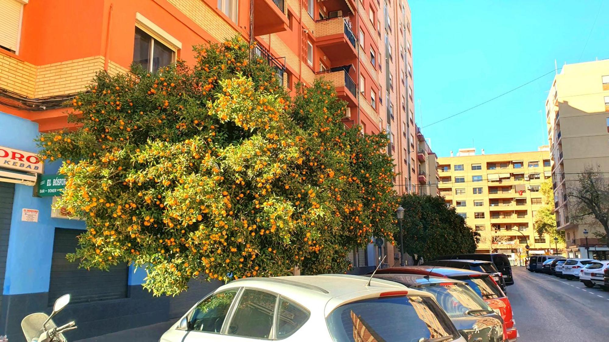 Nuevo Apartamentos Costa Del Alma Valencia Bagian luar foto