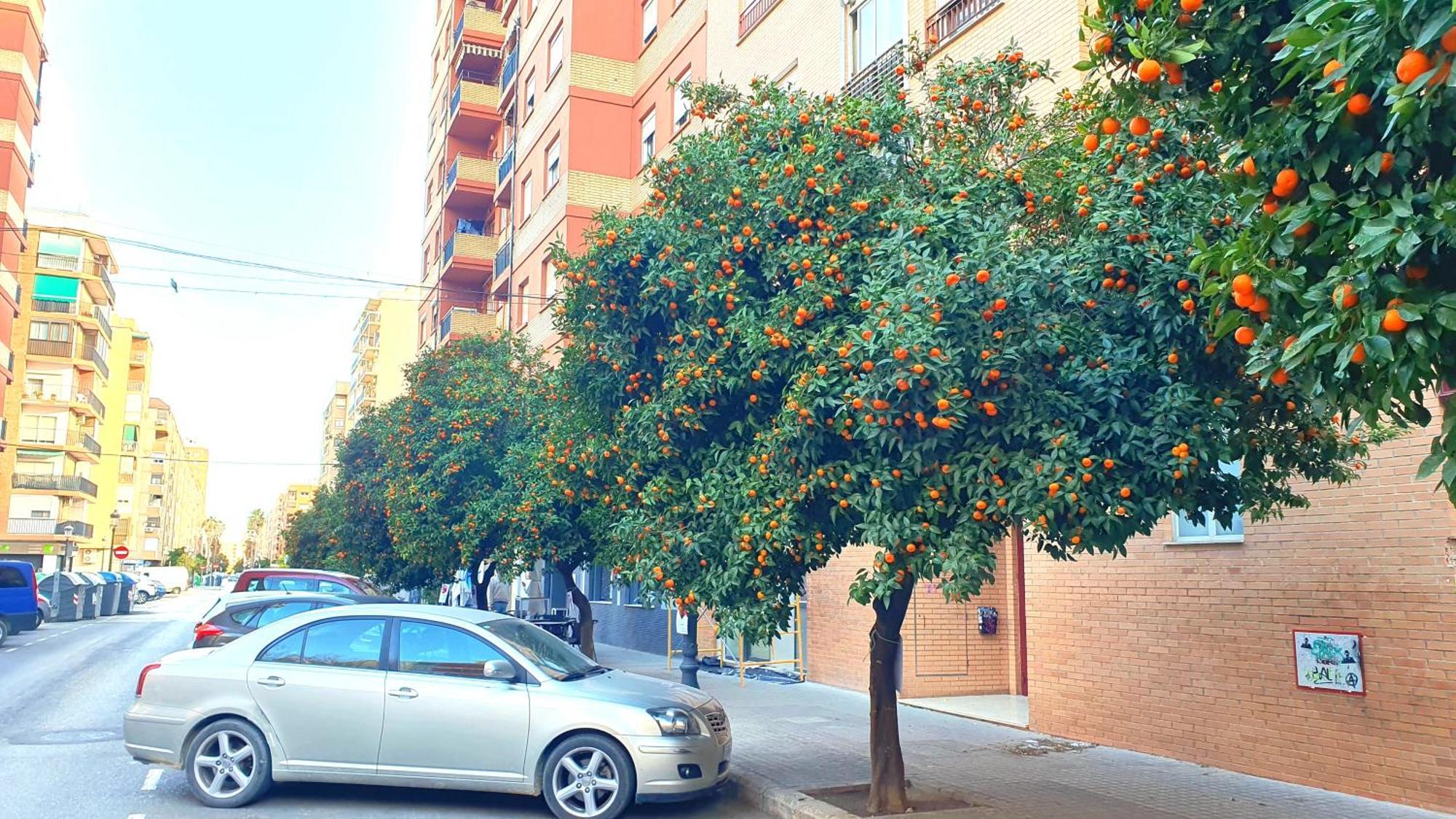 Nuevo Apartamentos Costa Del Alma Valencia Bagian luar foto